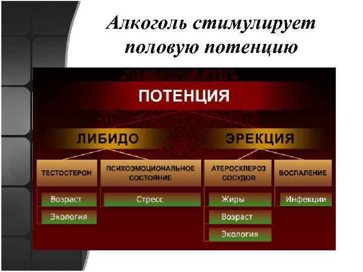 Алкоголь стимулирует половую потенцию 