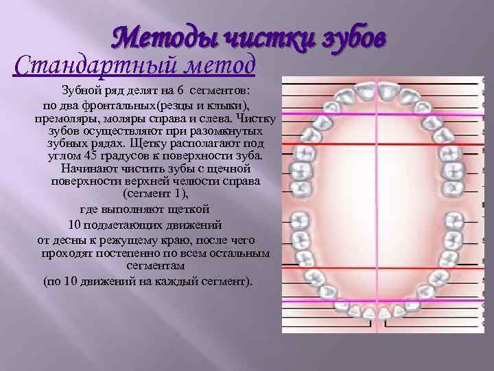 Методы чистки зубов Стандартный метод Зубной ряд делят на 6 сегментов: по два фронтальных(резцы