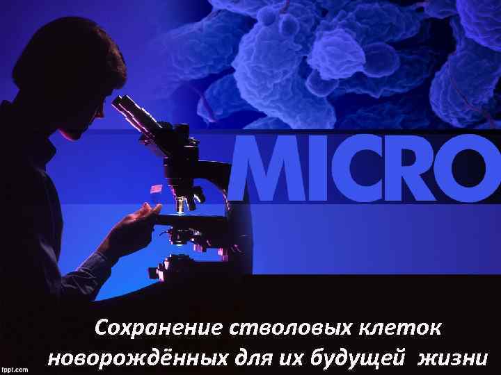 Сохранение стволовых клеток новорождённых для их будущей жизни 