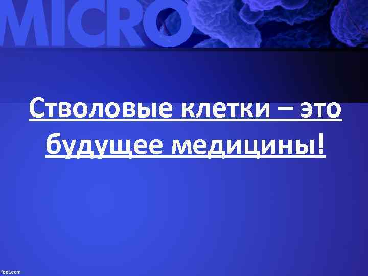 Стволовые клетки – это будущее медицины! 