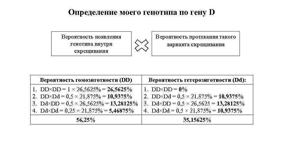 Определение моего генотипа по гену D Вероятность появления генотипа внутри скрещивания Вероятность протекания такого