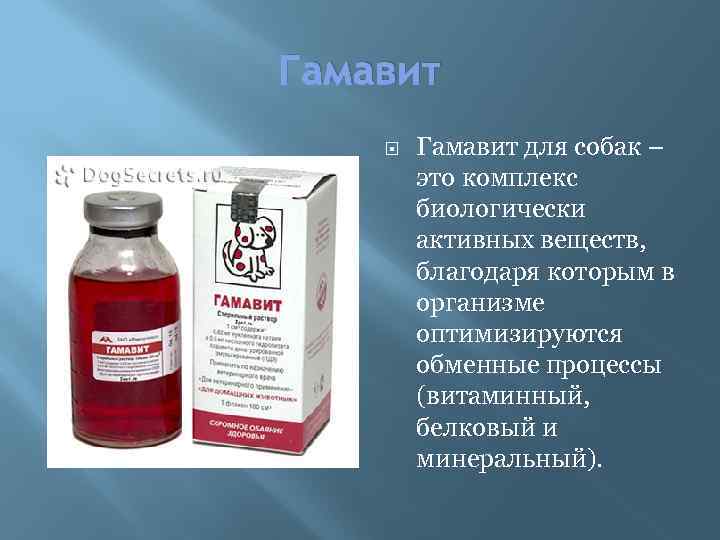 Гамавит для собак – это комплекс биологически активных веществ, благодаря которым в организме оптимизируются