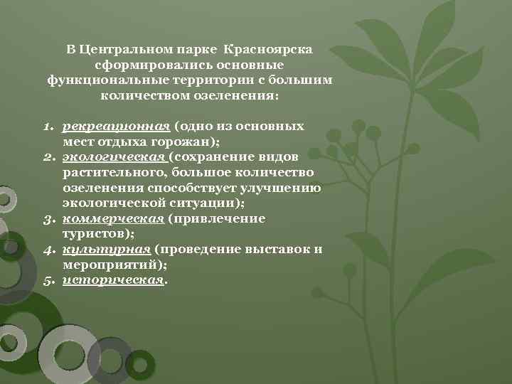 В Центральном парке Красноярска сформировались основные функциональные территории с большим количеством озеленения: 1. рекреационная