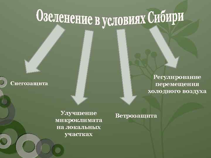 Регулирование перемещения холодного воздуха Снегозащита Улучшение микроклимата на локальных участках Ветрозащита 