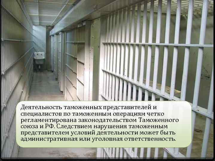 Деятельность таможенных представителей и специалистов по таможенным операциям четко регламентирована законодательством Таможенного союза и