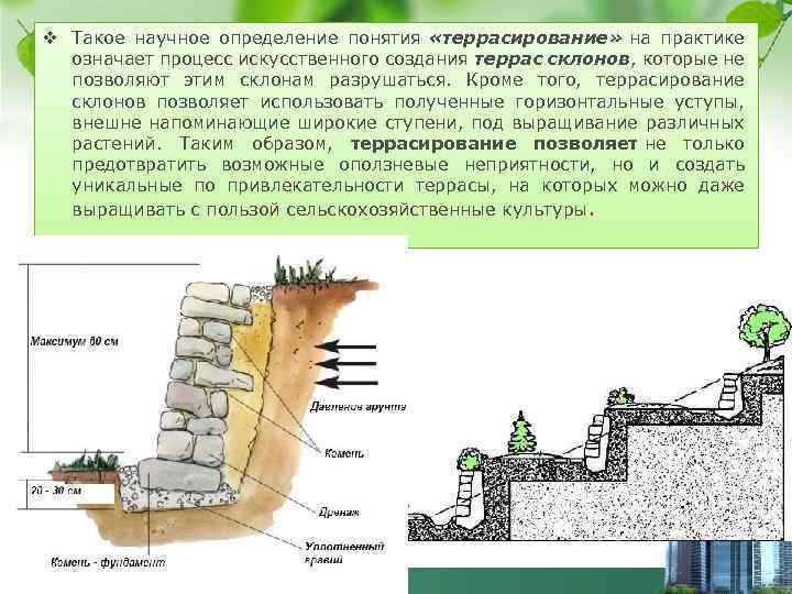 v Такое научное определение понятия «террасирование» на практике означает процесс искусственного создания террас склонов,