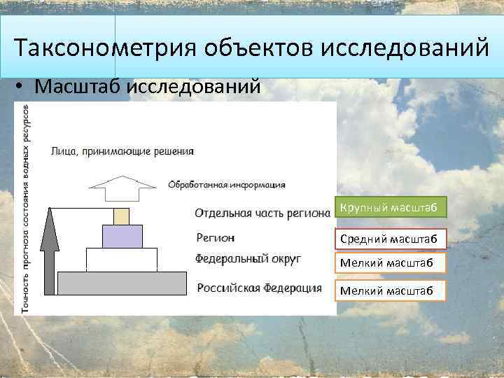 Таксонометрия объектов исследований • Масштаб исследований Крупный масштаб Средний масштаб Мелкий масштаб 10 