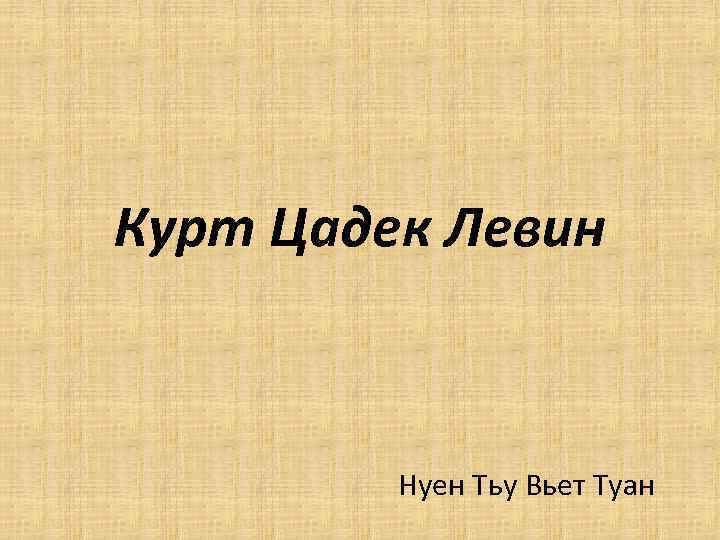 Курт Цадек Левин Нуен Тьу Вьет Туан 