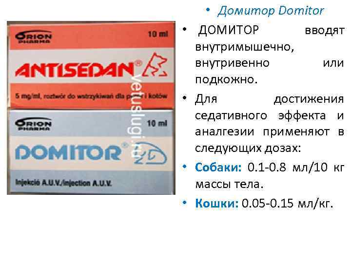  • • • Домитор Domitor ДОМИТОР вводят внутримышечно, внутривенно или подкожно. Для достижения