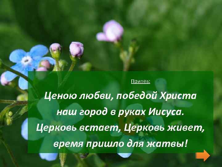  Припев: Ценою любви, победой Христа наш город в руках Иисуса. Церковь встает, Церковь