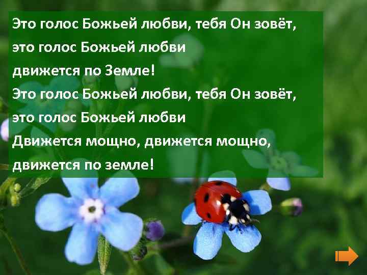 Это голос Божьей любви, тебя Он зовёт, это голос Божьей любви движется по Земле!