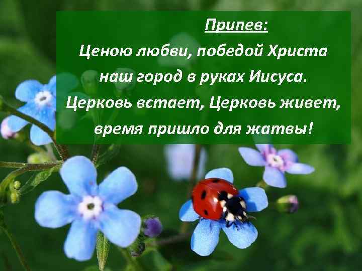  Припев: Ценою любви, победой Христа наш город в руках Иисуса. Церковь встает, Церковь