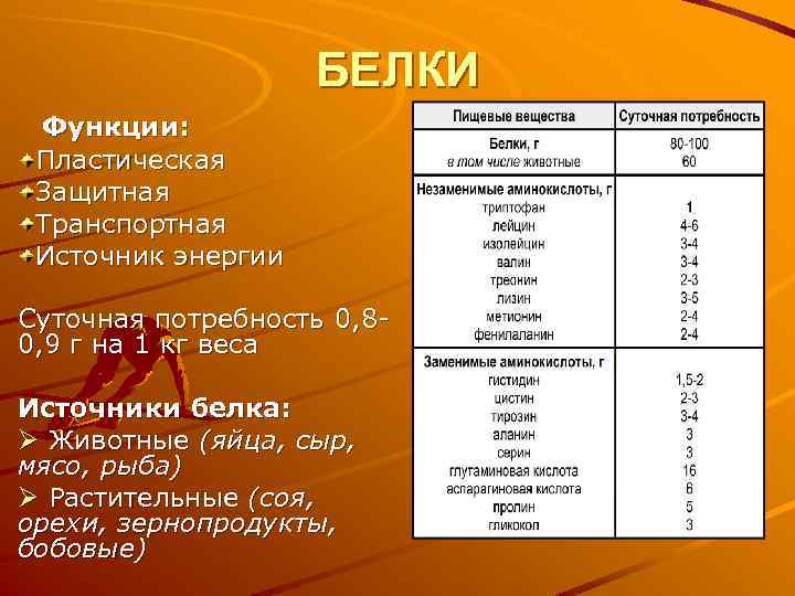 БЕЛКИ Функции: Пластическая Защитная Транспортная Источник энергии Суточная потребность 0, 80, 9 г на