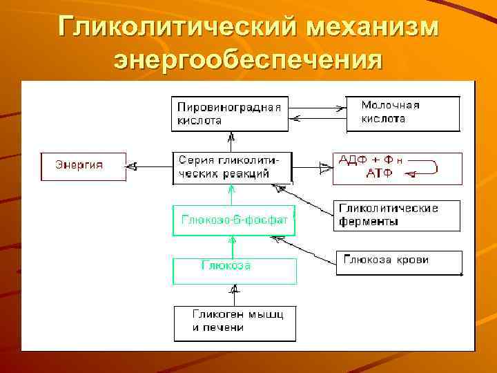 Гликолитический механизм энергообеспечения 