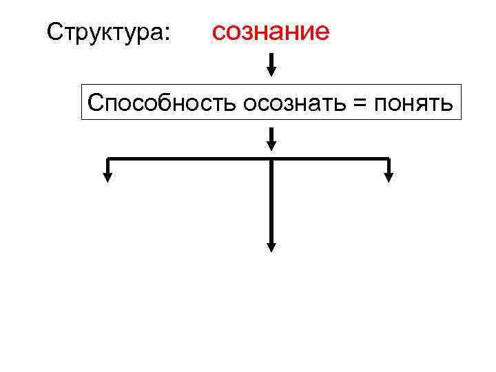 Структура: сознание Способность осознать = понять 