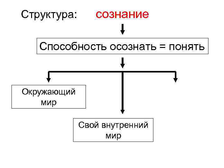 Структура: сознание Способность осознать = понять Окружающий мир Свой внутренний мир 