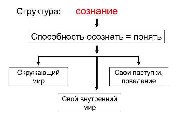 Структура: сознание Способность осознать = понять Окружающий мир Свои поступки, поведение Свой внутренний мир