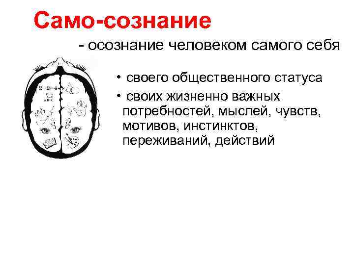 Cамо-сознание - осознание человеком самого себя • своего общественного статуса • своих жизненно важных