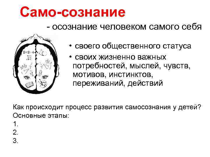 Cамо-сознание - осознание человеком самого себя • своего общественного статуса • своих жизненно важных