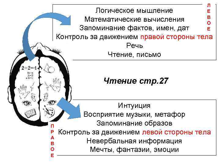 Л Е В О Е Логическое мышление Математические вычисления Запоминание фактов, имен, дат Контроль