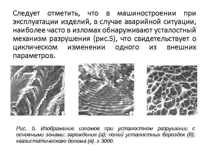 По изображению с микроскопа в препарате коры больших полушарий импрегнированном нитратом серебра