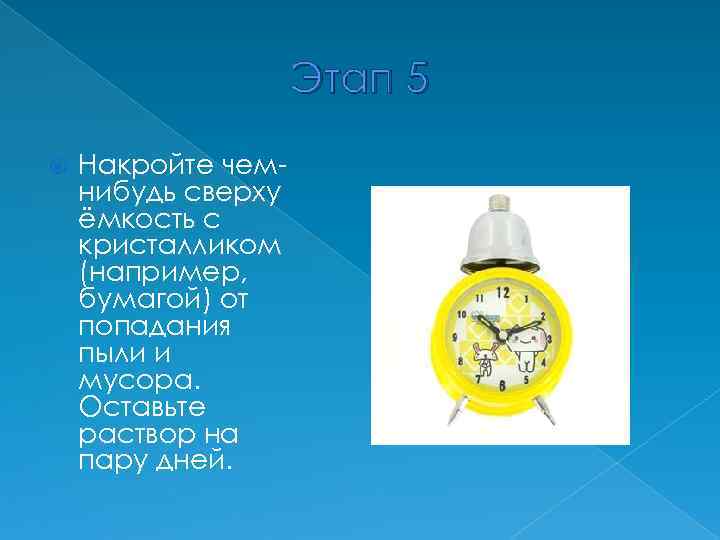 Этап 5 Накройте чемнибудь сверху ёмкость с кристалликом (например, бумагой) от попадания пыли и