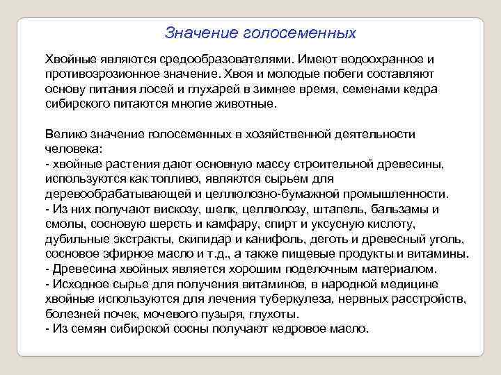 Значение голосеменных Хвойные являются средообразователями. Имеют водоохранное и противоэрозионное значение. Хвоя и молодые побеги