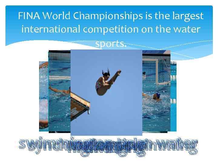 FINA World Championships is the largest international competition on the water sports. swimming on