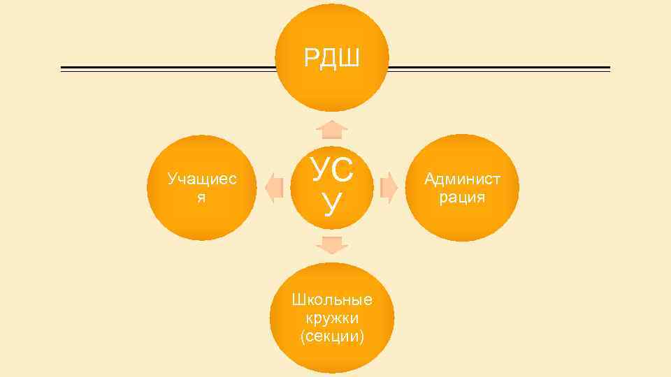 РДШ Учащиес я УС У Школьные кружки (секции) Админист рация 