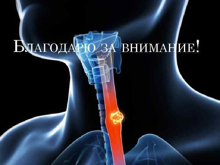 БЛАГОДАРЮ ЗА ВНИМАНИЕ! 