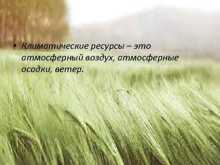  • Климатические ресурсы – это атмосферный воздух, атмосферные осадки, ветер. 