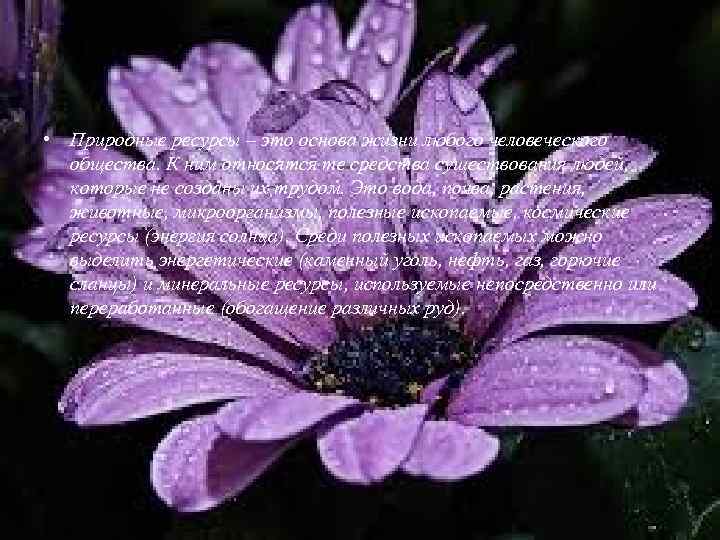  • Природные ресурсы – это основа жизни любого человеческого общества. К ним относятся