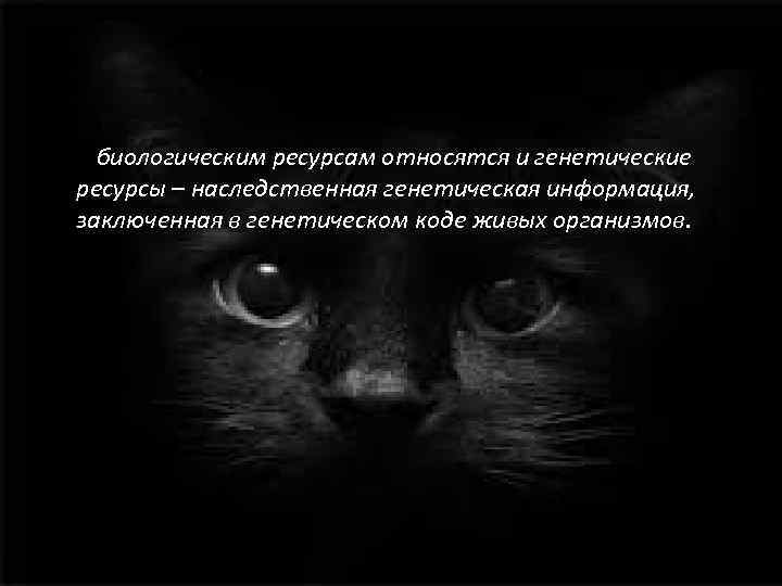  • К биологическим ресурсам относятся и генетические ресурсы – наследственная генетическая информация, заключенная