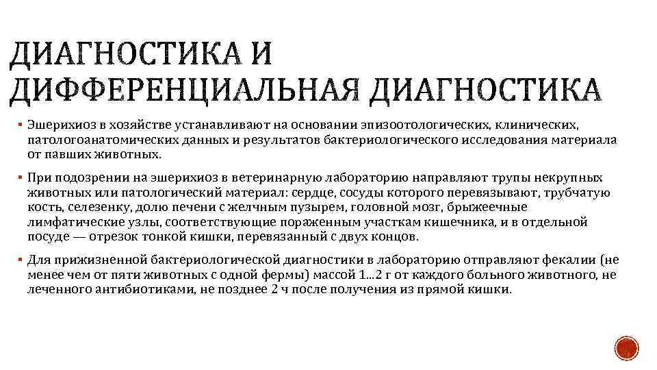 § Эшерихиоз в хозяйстве устанавливают на основании эпизоотологических, клинических, патологоанатомических данных и результатов бактериологического