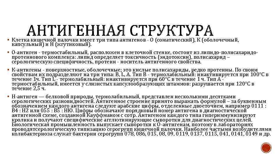 § Клетка кишечной палочки имеет три типа антигенов - О (соматический), К (оболочечный, капсульный)