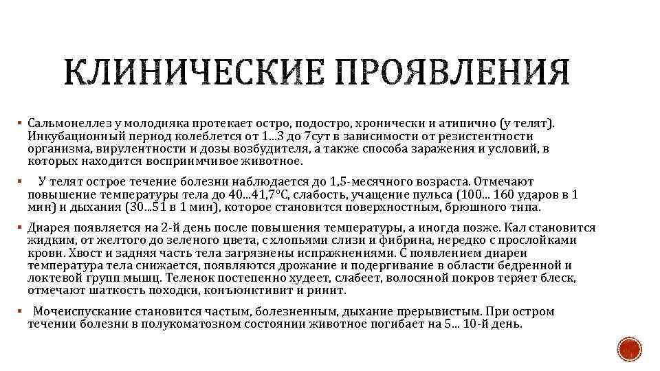 § Сальмонеллез у молодняка протекает остро, подостро, хронически и атипично (у телят). Инкубационный период