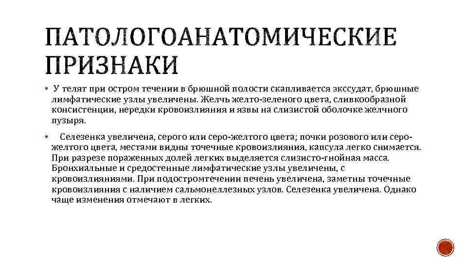 § У телят при остром течении в брюшной полости скапливается экссудат, брюшные лимфатические узлы