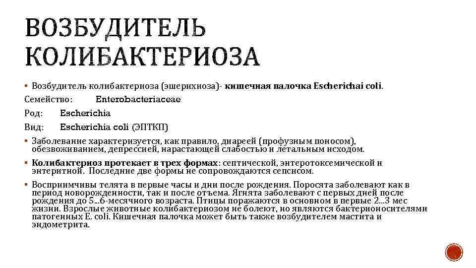 § Возбудитель колибактериоза (эшерихиоза)- кишечная палочка Escherichai coli. Семейство: Enterobacteriaceae Род: Escherichia Вид: Escherichia