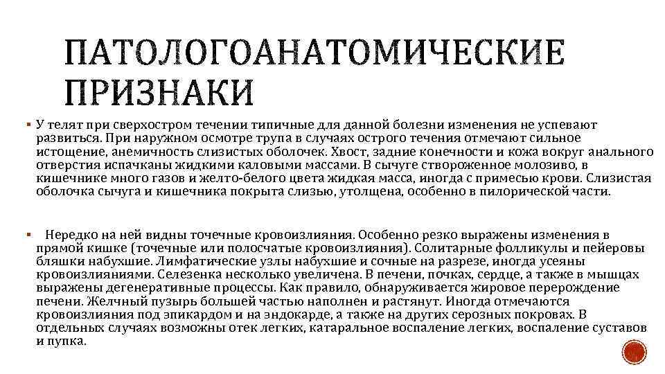 § У телят при сверхостром течении типичные для данной болезни изменения не успевают развиться.