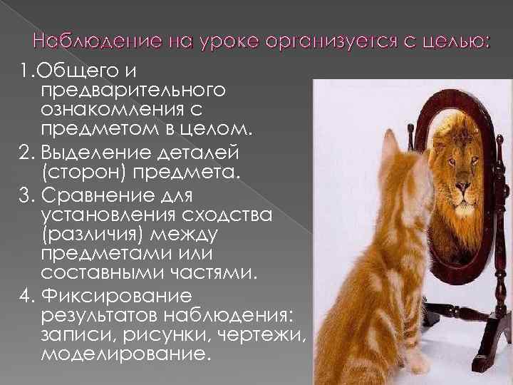 Наблюдение на уроке организуется с целью: 1. Общего и предварительного ознакомления с предметом в