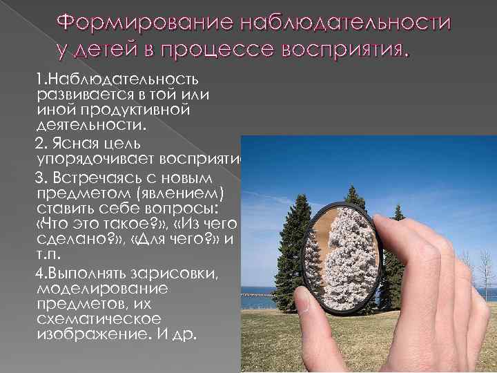 Формирование наблюдательности у детей в процессе восприятия. 1. Наблюдательность развивается в той или иной