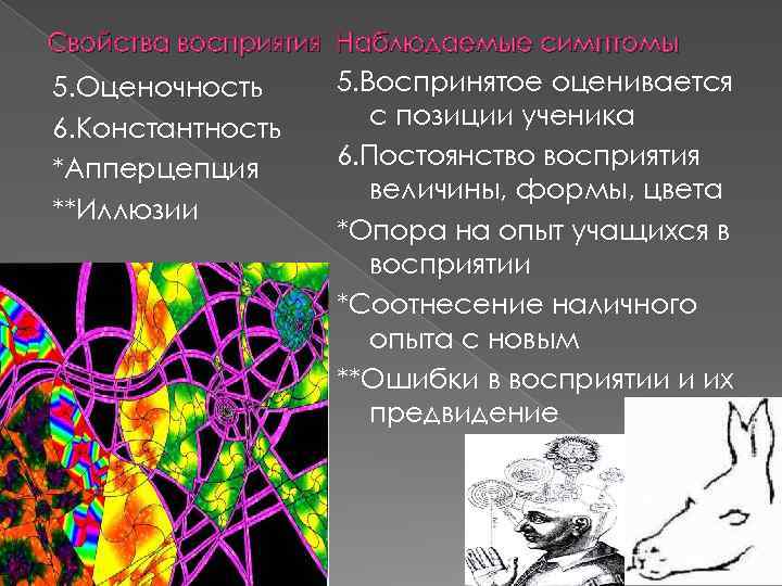 Свойства восприятия Наблюдаемые симптомы 5. Оценочность 6. Константность *Апперцепция **Иллюзии 5. Воспринятое оценивается с