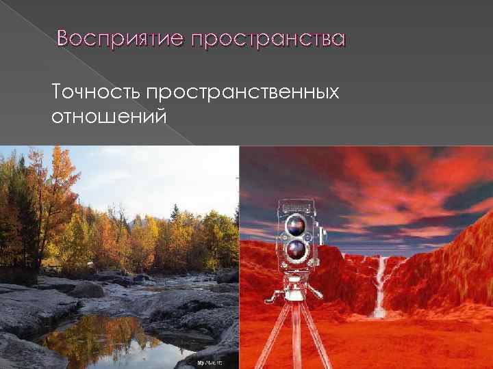 Восприятие пространства Точность пространственных отношений 