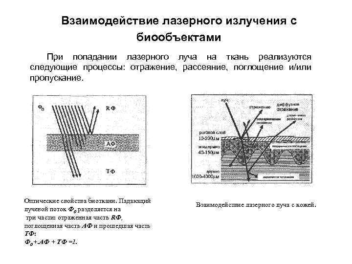 Взаимодействие лазерного излучения с биообъектами При попадании лазерного луча на ткань реализуются следующие процессы: