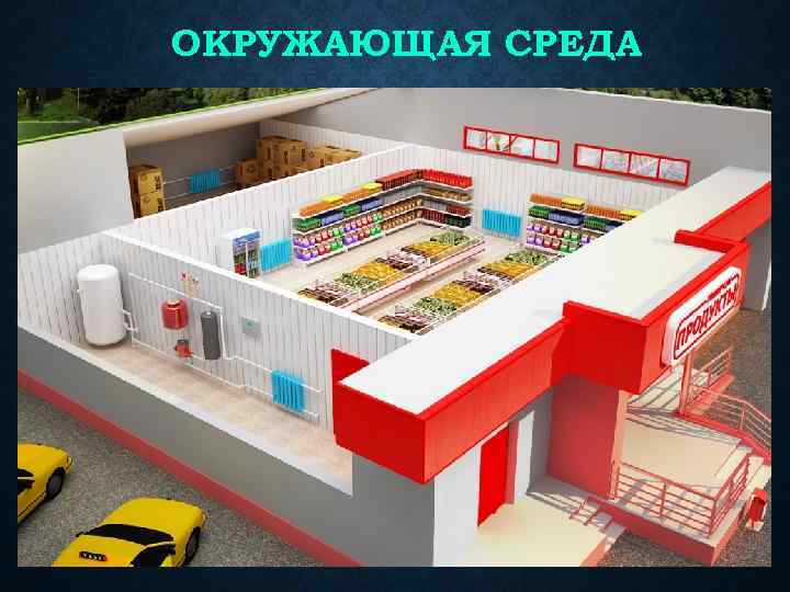 ОКРУЖАЮЩАЯ СРЕДА 