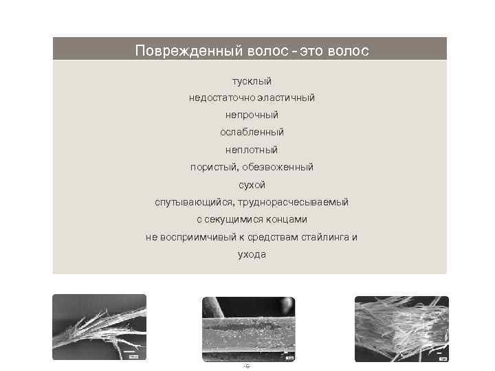 Поврежденный волос – это волос тусклый недостаточно эластичный непрочный ослабленный неплотный пористый, обезвоженный сухой