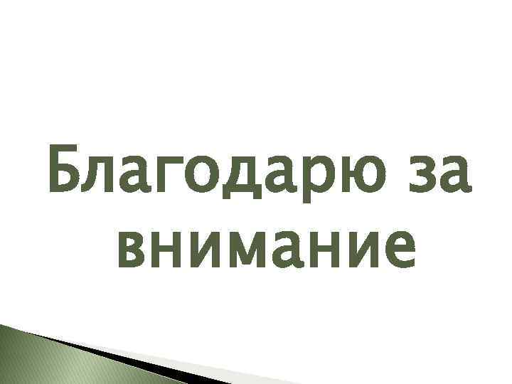 Благодарю за внимание 
