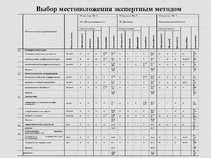 Выбор местоположения экспертным методом 