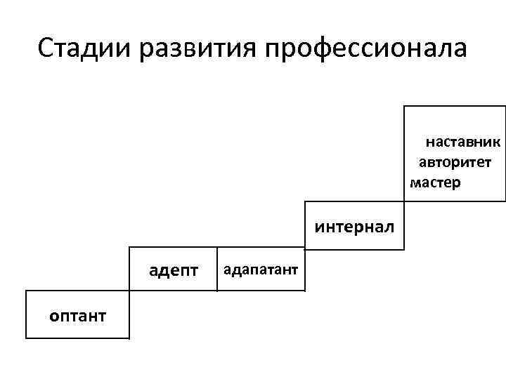 Уровни развития профессионала