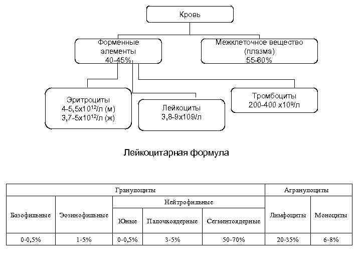 Состав крови схема 7 класс